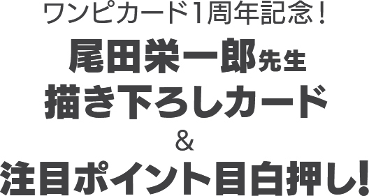 ワンピカード１周年記念！尾田栄一郎先生 描き下ろしカード&注目ポイント目白押し!