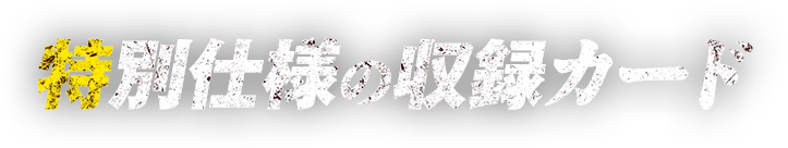特別仕様の収録カード